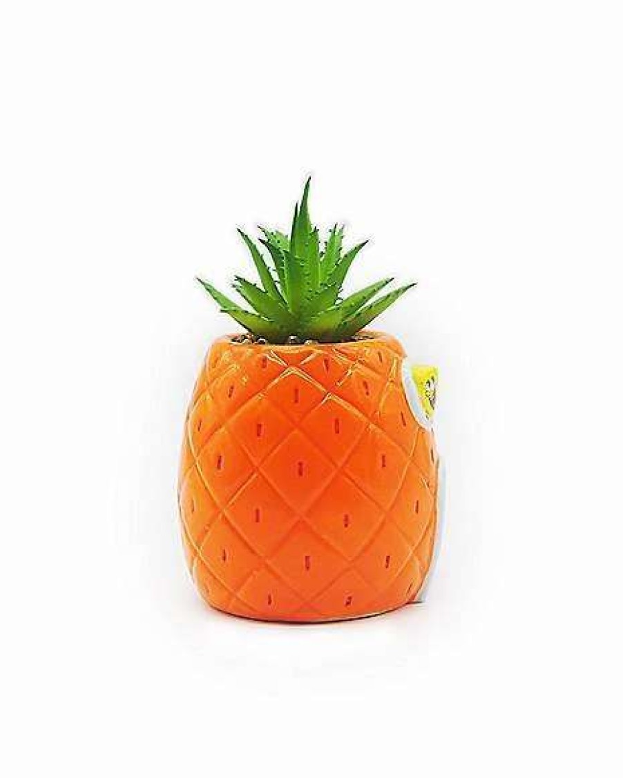 Spongebob * Promo Spongebob Pineapple Planter Spongebob Squarepants Orange